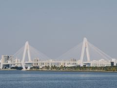 -万绿园