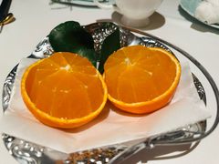 -西郊5号·Maggie 5