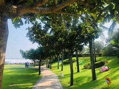 -三亚亚龙湾天域度假酒店