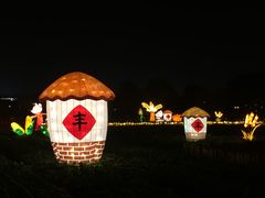 -乌镇枕水度假酒店