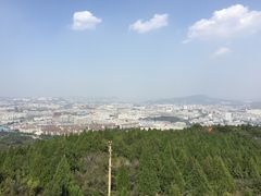 -原山国家森林公园