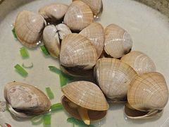 -潮庭·大连海鲜·炭火烧烤·扇贝王(大连店)