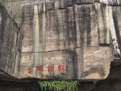 -广州莲花山旅游区