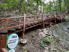 -大岭沟猕猴桃谷风景区