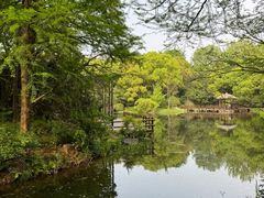 -上海滨江森林公园