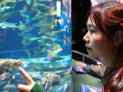 -瑞普利水族馆