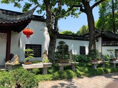-上海醉白池公园