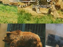 -上方山森林动物世界