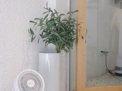 -Cafe on warm(丹霞店)