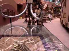 -陕西自然博物馆