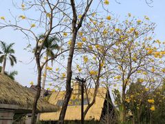 -清远熹乐谷温泉度假酒店