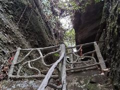 -越王山风景区