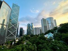 -尼依格罗香港美利酒店