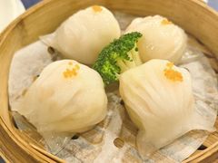 -金龙寨(龙城路店)
