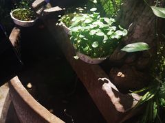 -兰木肆·云南菜(龙湖U城天街店)