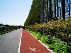 -上海长兴岛郊野公园