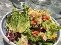 -朱记乳鸽王·非遗石岐乳鸽·全鸽宴(大兴旗舰店)