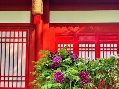-太阳宫公园