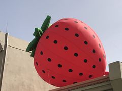 -上街里市集(悦喜客来广场店)