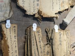 -杨家堂村