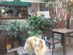 -豆舞咖啡(民乐路店)