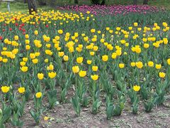 -长春公园(普阳街道)