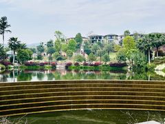 -枫香湖儿童公园