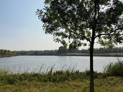 -东郊湿地公园