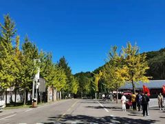 -洛阳白云山景区