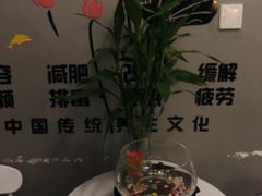 -养心阁足道馆(火宫殿一店)