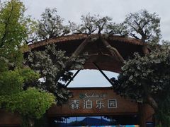 -杭州开元森泊度假乐园