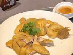 贵妃爽皮鸡-韩上楼