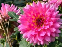 -国家植物园南园