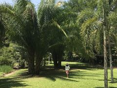 -中国科学院西双版纳热带植物园