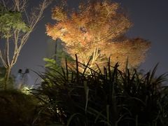 -宁波儿童公园(鄞州区)