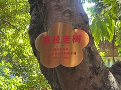 -福州开元寺