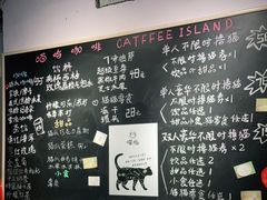 -喵屿·大理花园猫咖