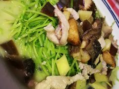 鲜羊肚菌煨豆苗-龙桥私厨·姜花菊花过桥鱼·顺德菜(容桂店)