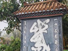 -靖西鹅泉风景区