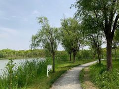 -昆山城市生态森林公园