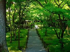 -三千院