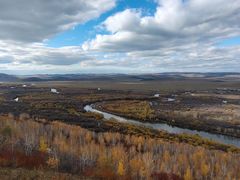 -乌兰布统景区-白桦林