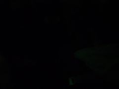 -大冰的小屋