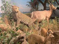 -陕西自然博物馆