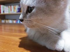 -北京恒爱动物医院(清景园分院)