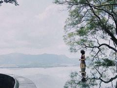 -大埔公路-马料水段香港中文大学(公交站)