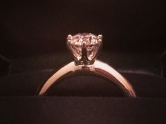 Tiffany&nbsp;&&nbsp;Co.-Tiffany & Co.蒂芙尼
(广州太古汇店)