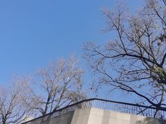 -东方体育中心(地铁站)