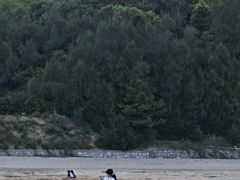 -普陀山风景名胜区-千步大沙