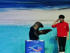 -乌鲁木齐海洋馆